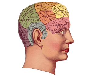 Head